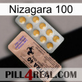 Nizagara 100 41